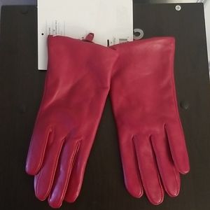 Gloves